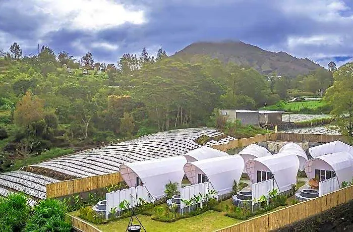 The Dewi Kintamani 4* バリ島
