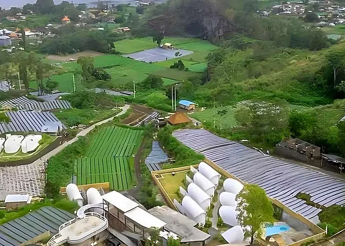 The Dewi Kintamani ホテル バリ島